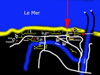 Plan.