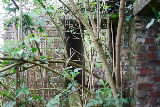 RAF Tholthorpe.