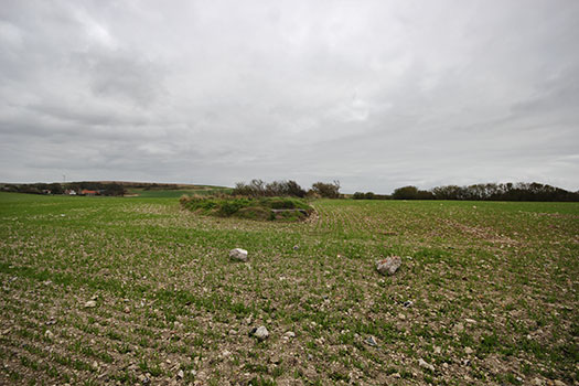 StP Beauregard Ferme, Camiers.