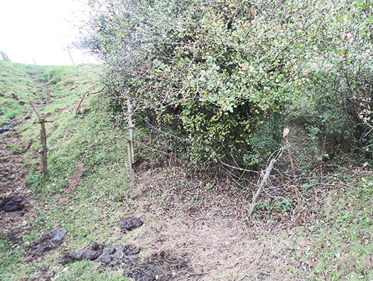 StP Ruin, Mont de Neufchâtel, Pas-De-Calais. PART 2