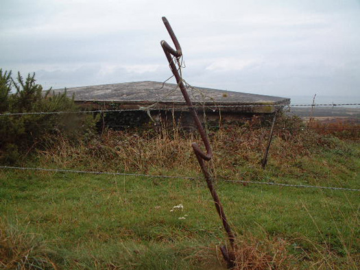 Wn349 Auderville la Roche, Luftwaffe station "Ammer".