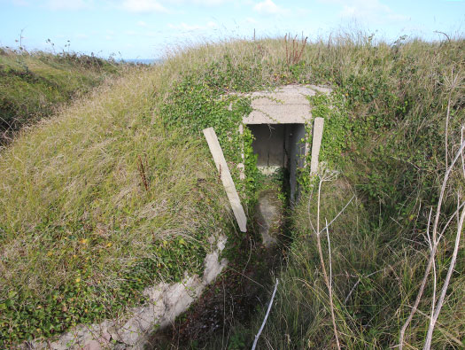 Alderney, M4 Wn 'Dohlenfest'