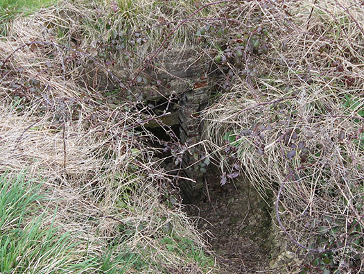 Wn60 Colleville-sur-Mer, (Omaha Beach)