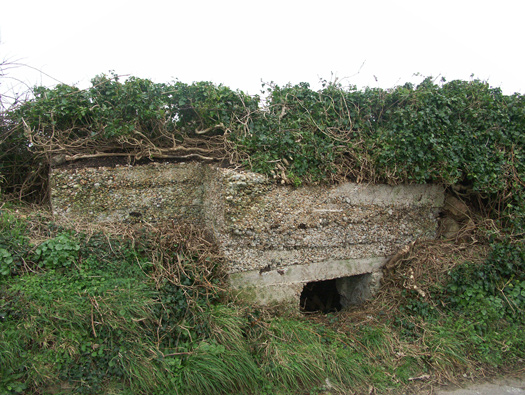 Pointe de Jardeheu  Wn304a