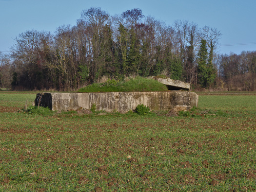 Wn19 Colleville-sur-Orne (nord)