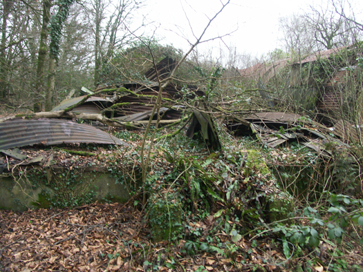 RAF Winkleigh