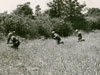 Us Inf. attack..