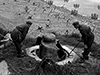 Pz.T. 3.7cm KwK. Tobruk.