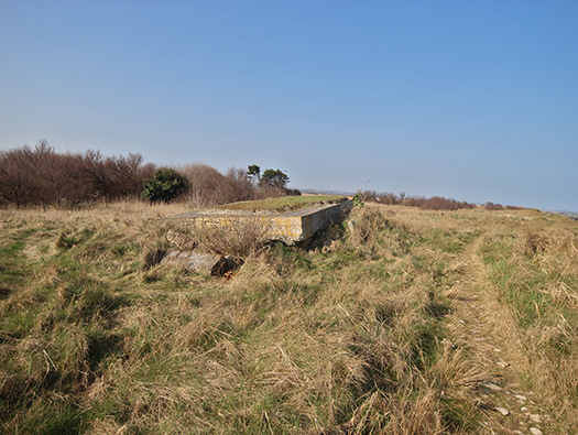 Wn35 Ver-sur-Mer, le Marais