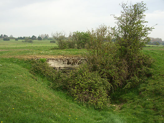 Die010 Mont Robin
