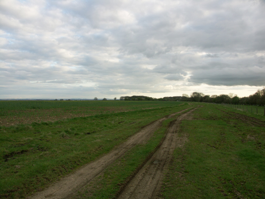 Akeman Street RLG