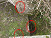 Note the hand holds on the side of the ringstand entrance, the same as at Wn01 Grand Vey's ringstand.