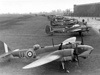 Blenheim.