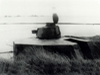 Wn18's Pz. T..