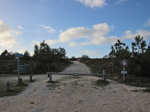 Gi05 'Annaberg' Point Espagnol