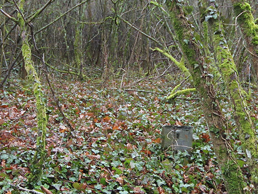 Führerhauptquartier ´Wolfsschlucht 2´ Margival