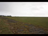 Grass runways.