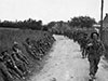 50th Div advancing through Normandy.