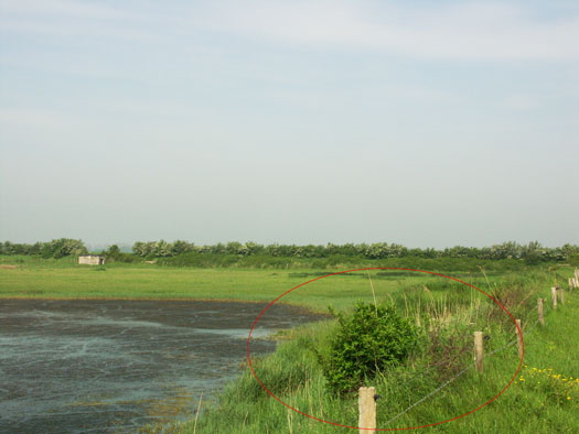 Wn99 Brévands le Châlet