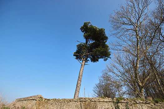 Wn23 Tailleville