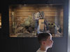 Museum in the shop.