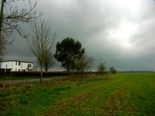RAF Zeals