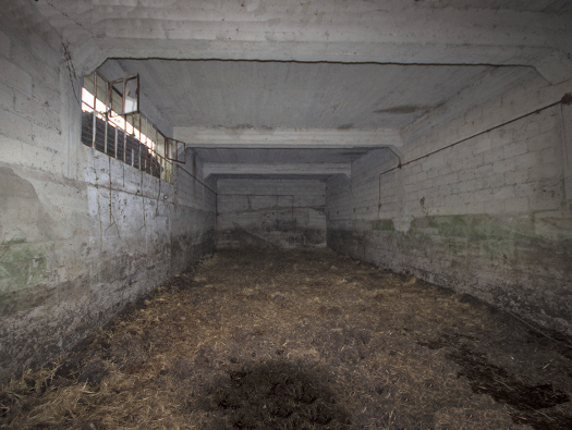 Führerhauptquartier ´Wolfsschlucht 2´ Flakstellung ´C´