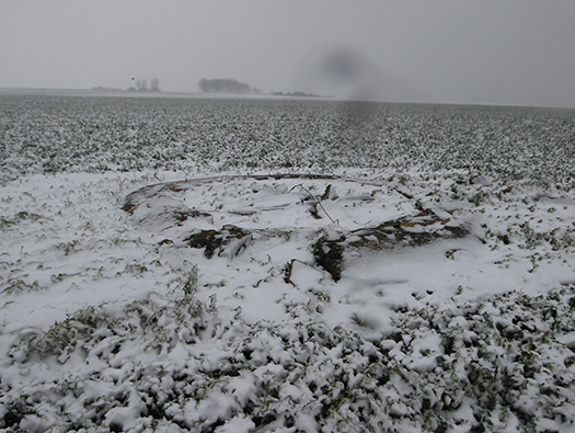 StP35a. Mont Fleury Batterie