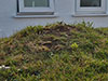 Under the grass is the concrete cupola.
