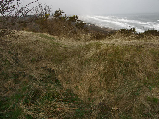 Wn60 Colleville-sur-Mer, (Omaha Beach)