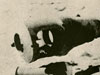 The L/39 & L/42 did not have muzzle break but by attaching one to the L/60 making it a much better and higher velocity gun.