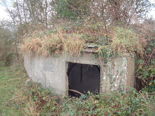 Wn349 Auderville la Roche, Luftwaffe station "Ammer".