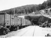 A French train entering a camouflaged tunnel.