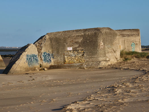 Gi03 'Holland' Point du Galon d'Or