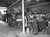 WAAF's repairing Tiger Moths.