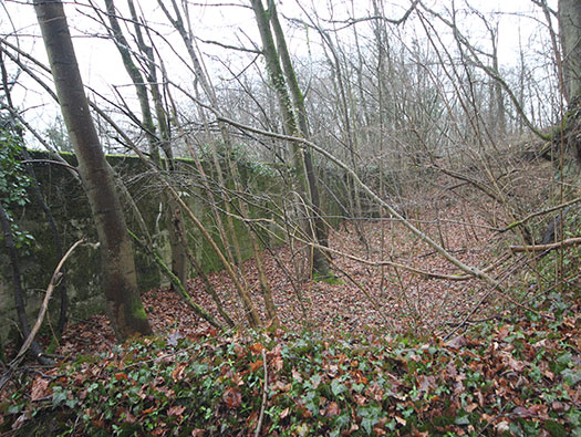Führerhauptquartier ´Wolfsschlucht 2´ Flakstellung 15