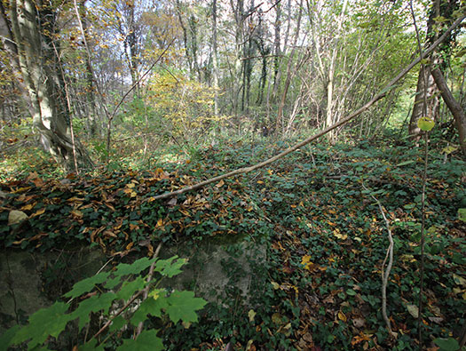 Führerhauptquartier‘Wolfsschlucht 2’ Flakstellung ‘16’