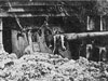 Wn48 Longues-sur-Mer M.K.B.