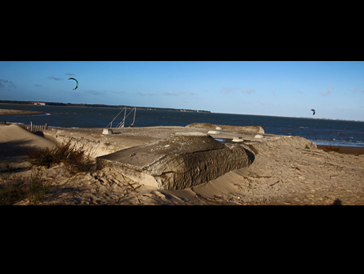 Gi03 'Holland' Point du Galon d'Or