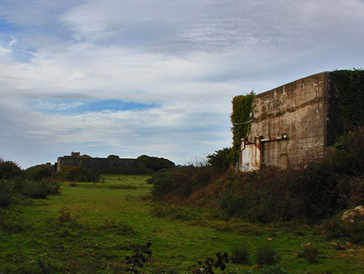 Wn Nz355 Camp de la Torpille