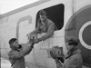 AN RAF Liberator crew taking two pigeons on board.