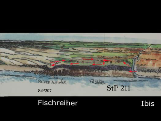 StP207 Fischreiher