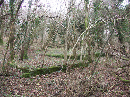 D3 Yellowham Wood