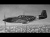 North American Mustang in RAF service.