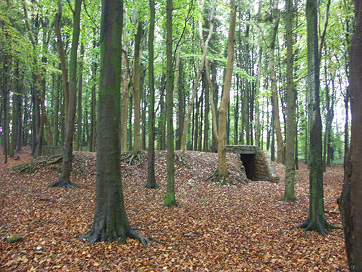 RAF Zeals