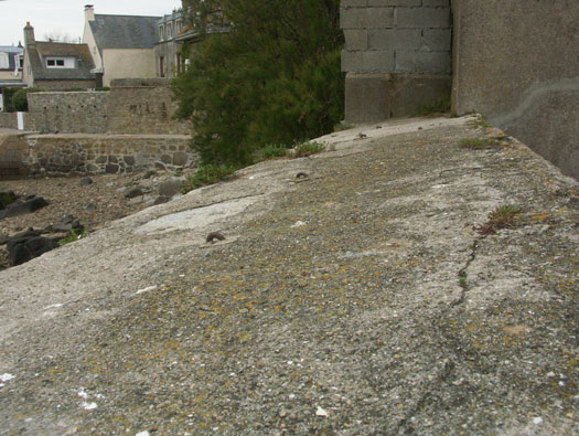 StP111 
  Port de St-Vaast