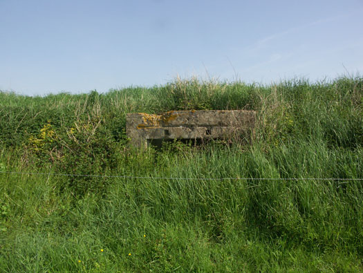 Wn99 Brévands le Châlet
