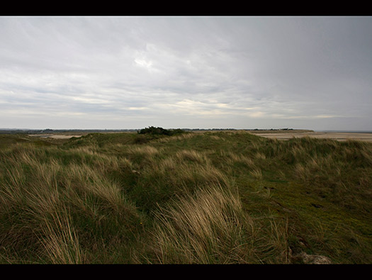 Wn333 St Remy des Landes Plage