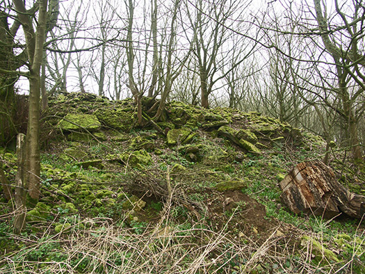 RAF Babdown Farm RLG
