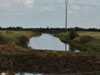 The wet ditch today.